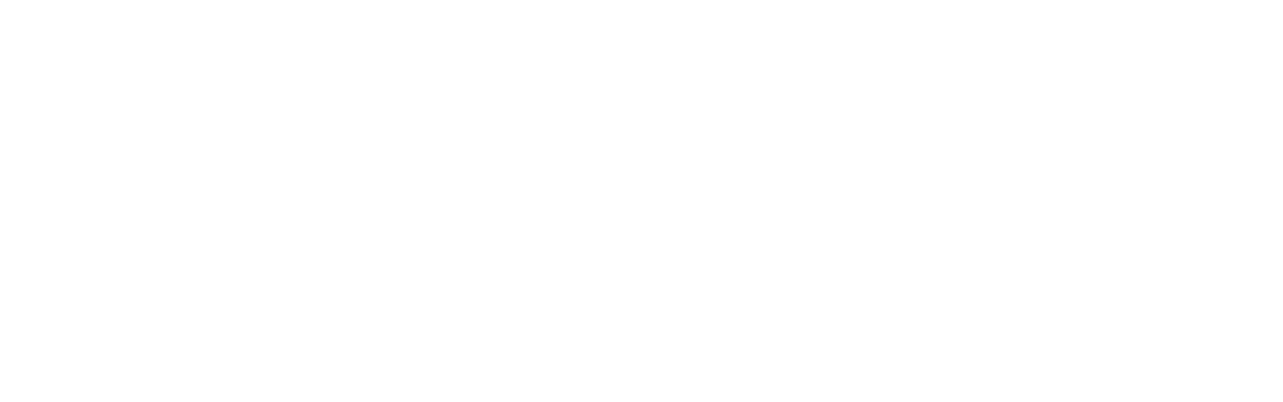 Nadeshda logo von trauma white